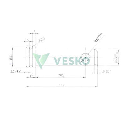 Kaištis su Galvute Kat.2 25x78 mm 1